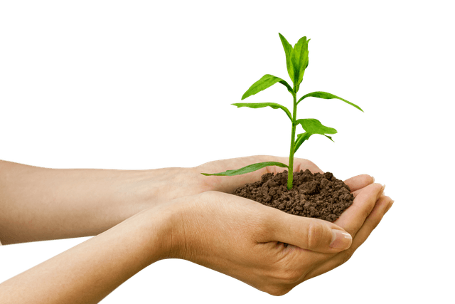 Advanced Theraputics & R&D